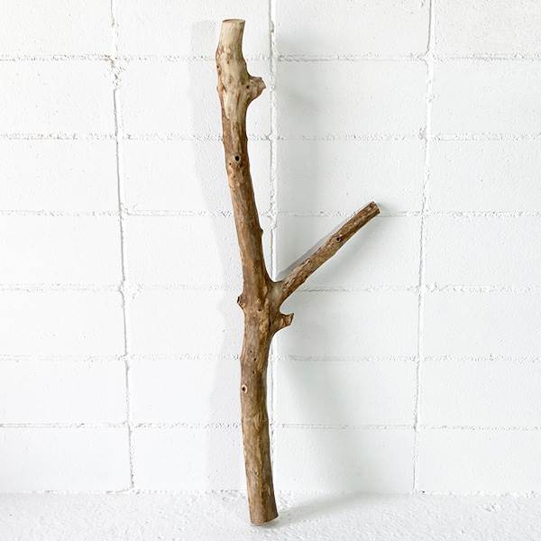 楽天市場】流木 特大の通販