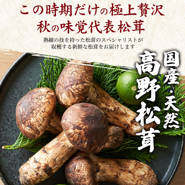 楽天市場】送料無料 天然国産 冷凍松茸 高野松茸 約200g 300g 冷凍