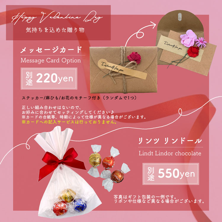 楽天市場】【ラッピング無料】シャネル ル リフト フラッシュアイ 10枚