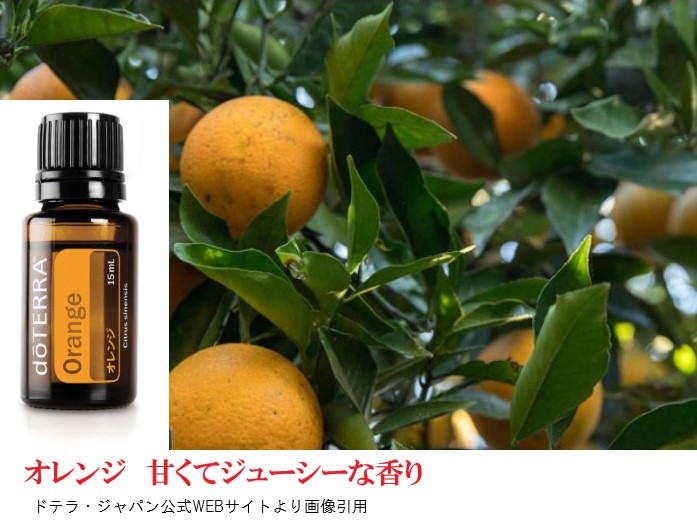 楽天市場】ドテラ アロマオイル オレンジ doTERRA ドテラ アロマ 精油