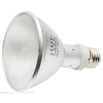 楽天市場】ソラーレ 交換球の通販