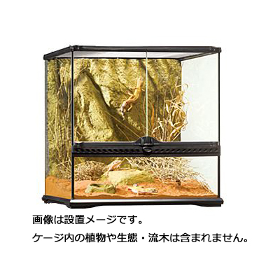 グラステラリウム4545」の人気商品一覧 | 安い商品を通販サイトから