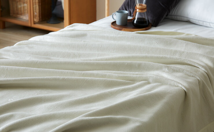 バレンティノ シルク100%（羽毛部分）高級毛布 140×200cm バレンティノ