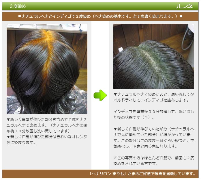 楽天市場】☆【新アイテム限定販売 】 ヘナ ナチュラルヘナ インディゴ