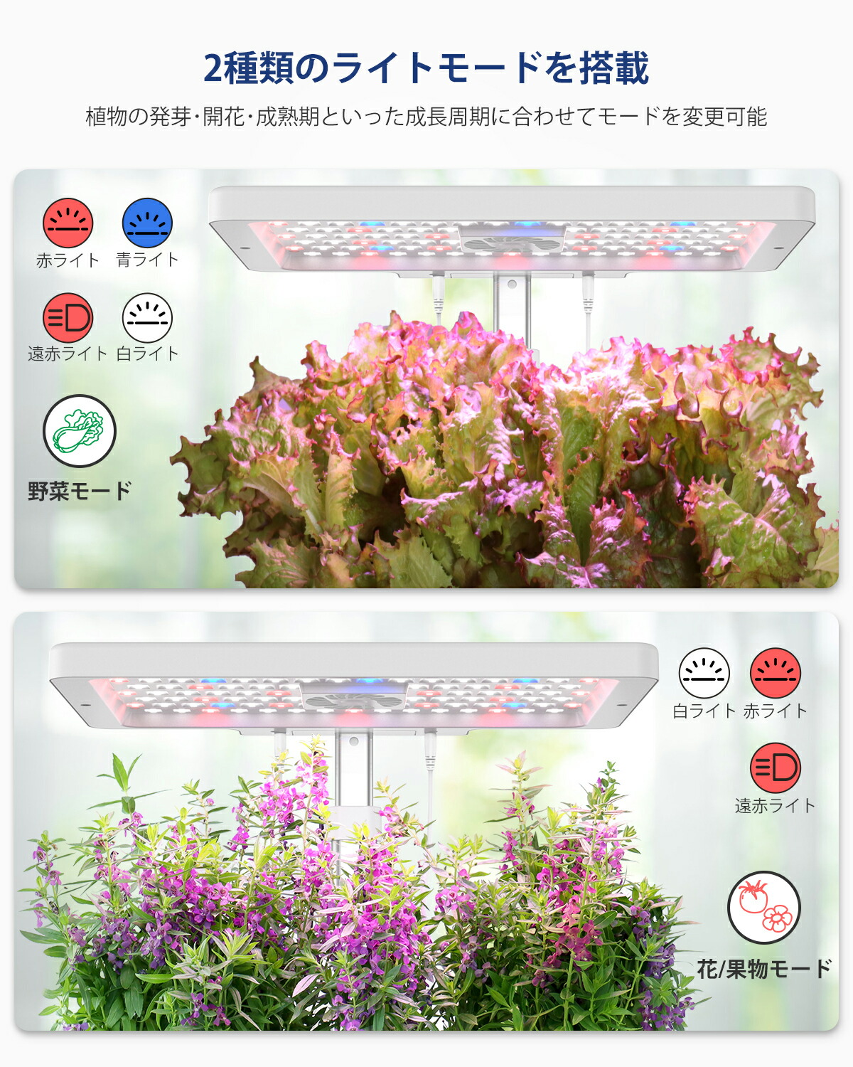 楽天市場】【最大4000OFFクーポン配布中】iDOO 水耕栽培キット 野菜