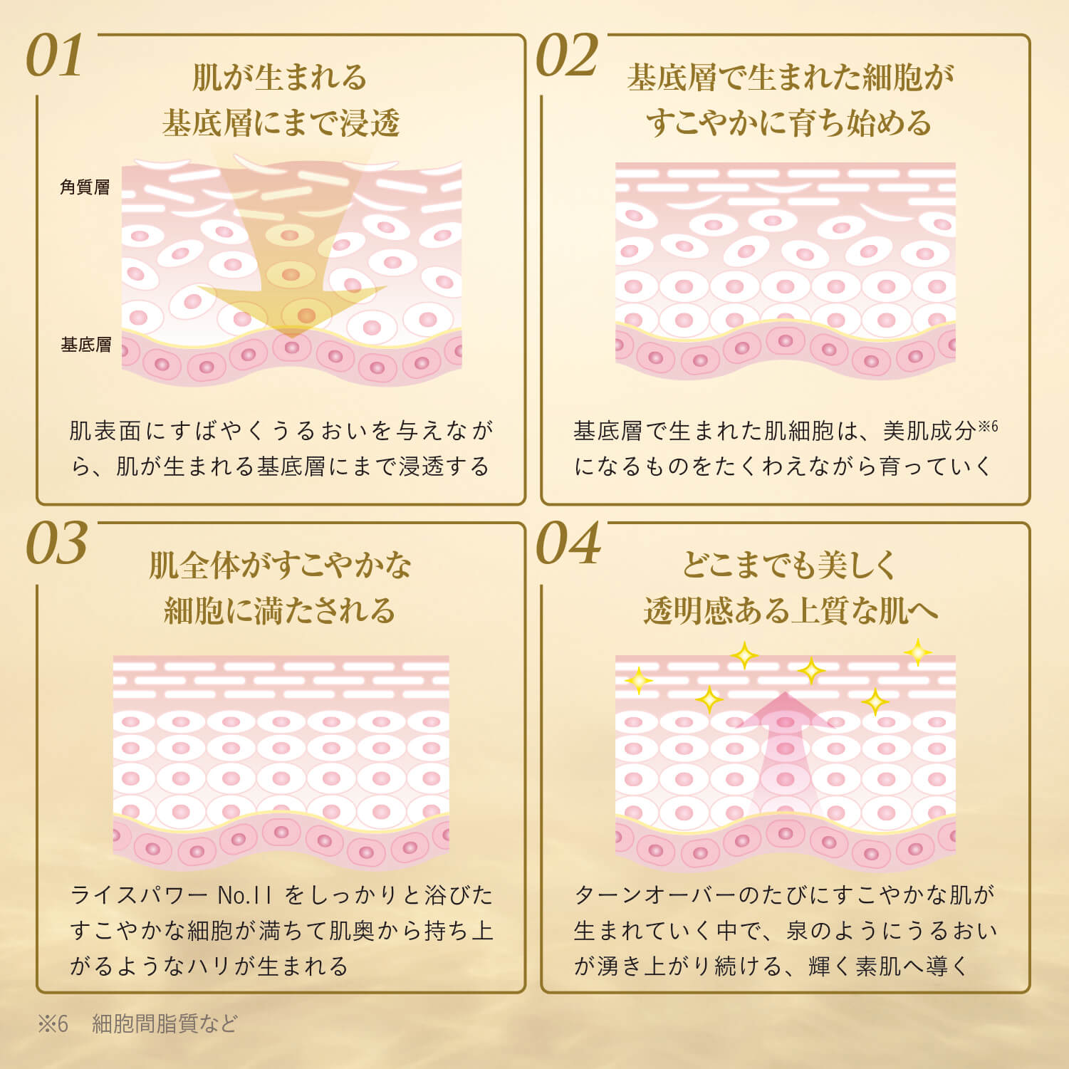 楽天市場】【公式店】ライースリペア プレミアムクリーム 40g【医薬部