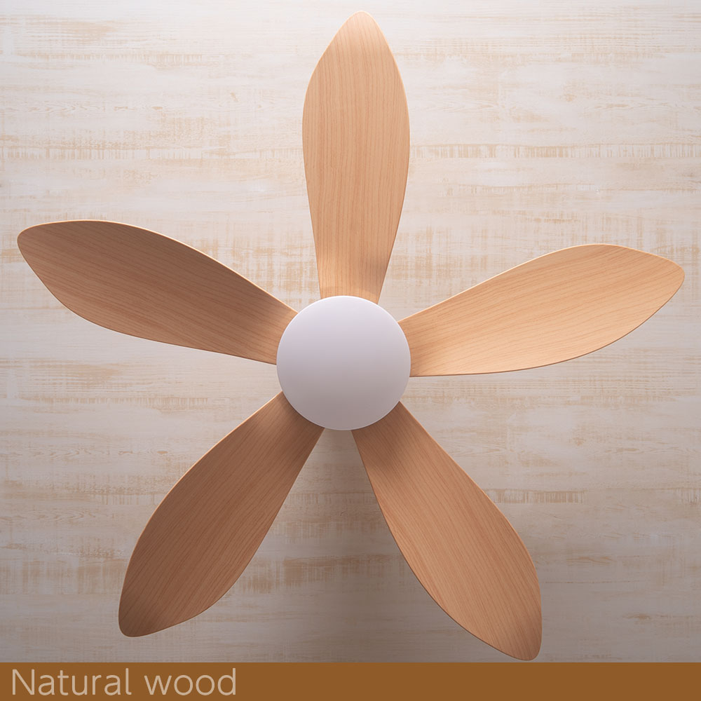 楽天市場】シーリングファンライト リモコン付き 天井 シーリング