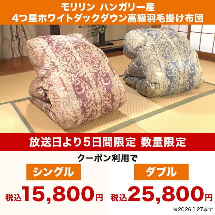 楽天市場】【1月27日までクーポン利用で64200円引き！】モリリン