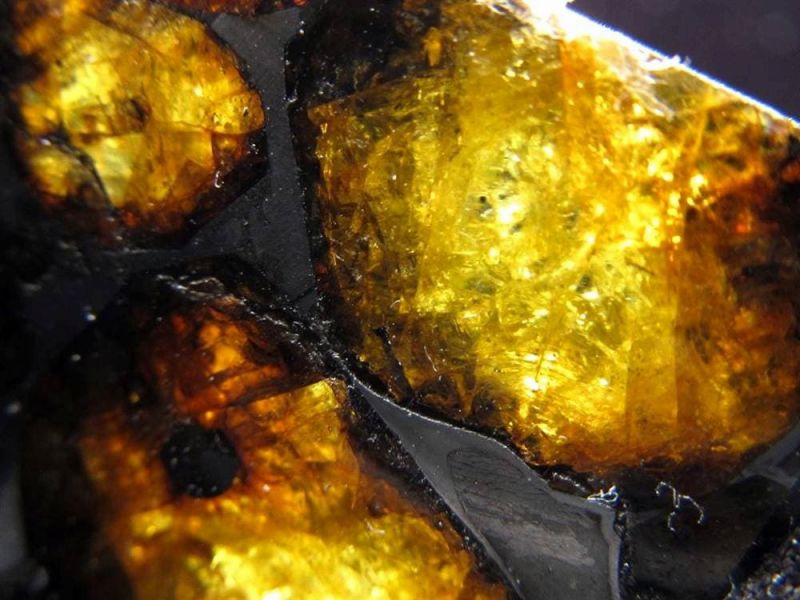 楽天市場】【全品P2倍】○【セリコ隕石（パラサイト隕石）原石