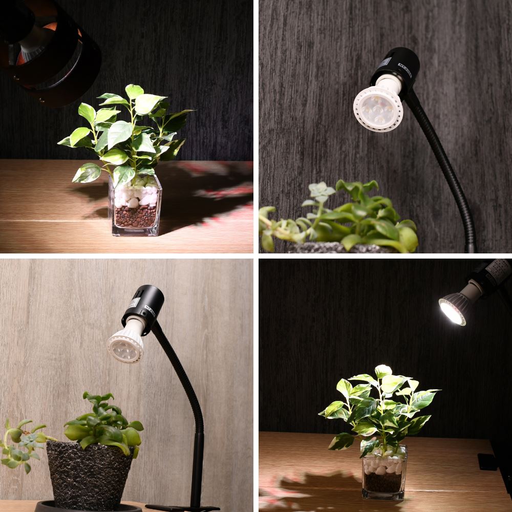 楽天市場】【植物の事だけを考えたライト】 植物専用 LEDライト PLANTS
