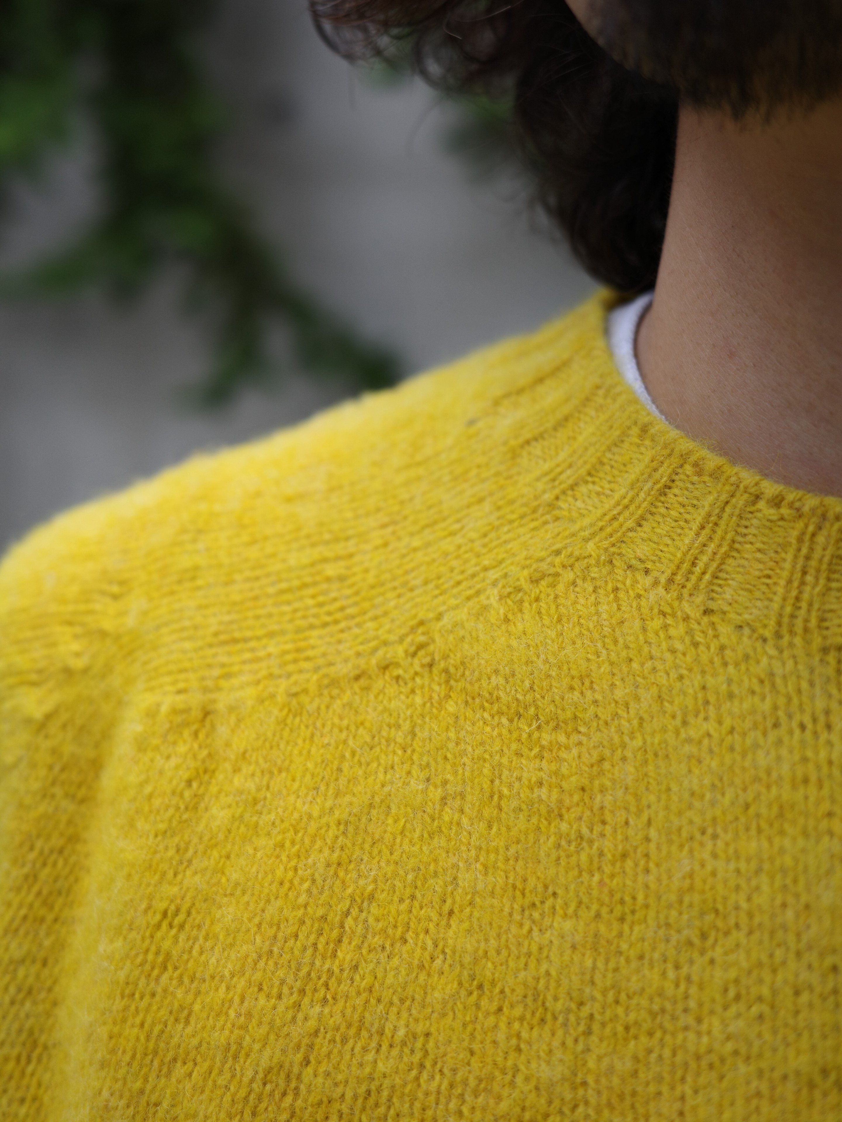 BEAVER｜INVERALLAN/インバーアラン 別注SHAGGY CREW SHETLAND SWEATER