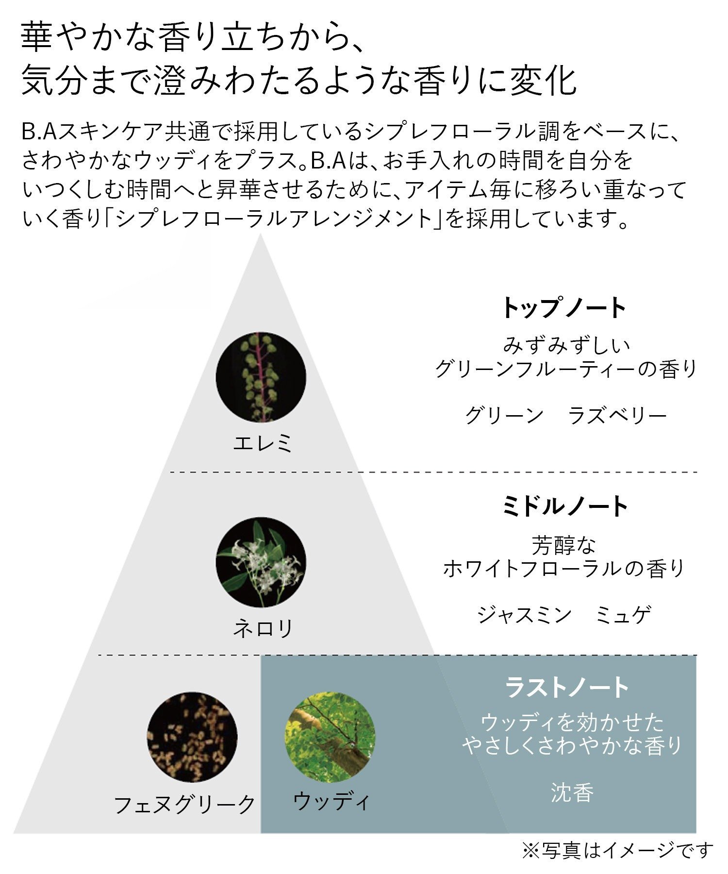 POLA｜【公式】POLA B.A ローション イマース リフィル | Rakuten
