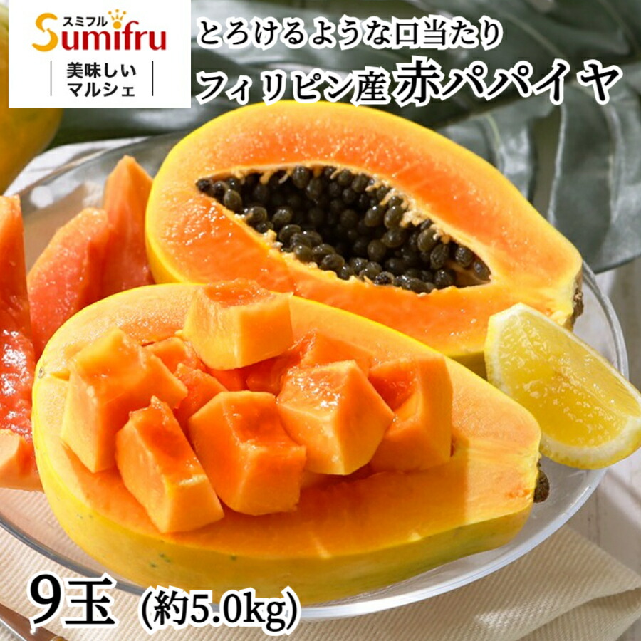 パパイヤ」の人気商品一覧 | 安い商品を通販サイトから探す - 価格.com