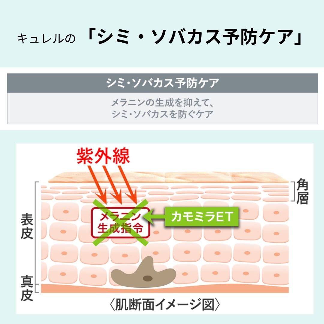 楽天市場】キュレル 乳液 美白 花王 シミ・ソバカス予防ケア 乳液