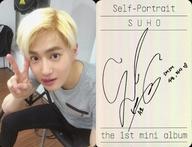 楽天市場】exo サインの通販