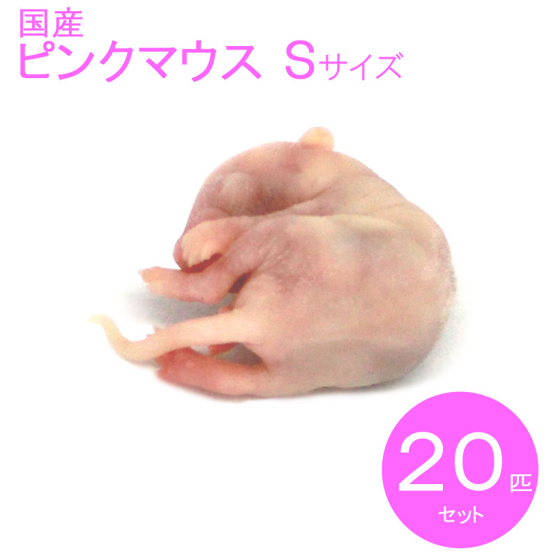 楽天市場】国産冷凍マウス ピンクS 20匹 SAfarm : SAfarm 楽天市場店