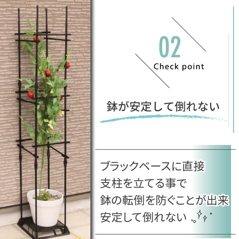 楽天市場】【2月 P2倍】daim ブラックベース20cm+ブラックベース用