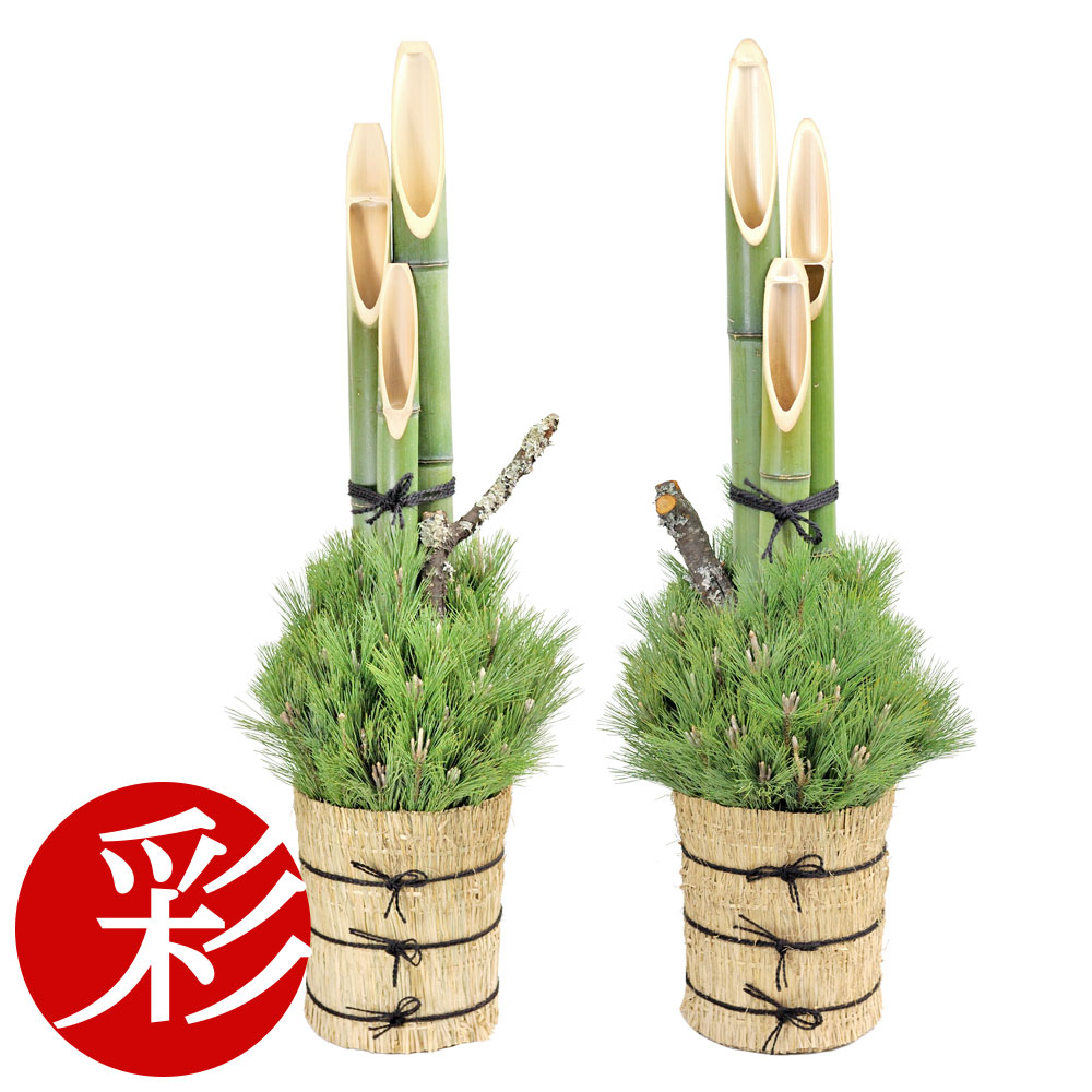 楽天市場】【土日限定ポイント2倍】本格 門松「雅（みやび）」高さ1.5m