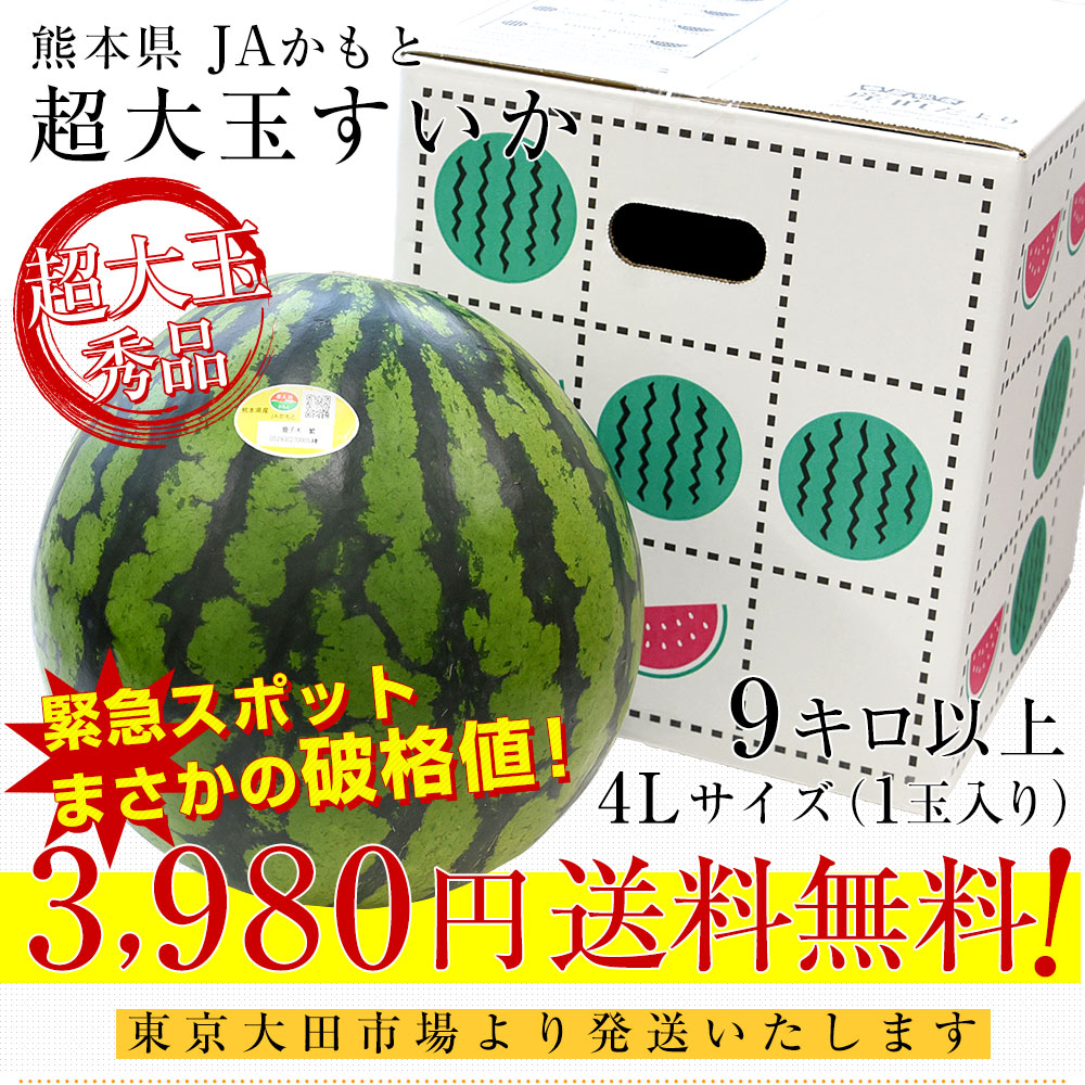 楽天市場】【緊急スポット】熊本県 JAかもと 超大玉すいか 9キロ以上