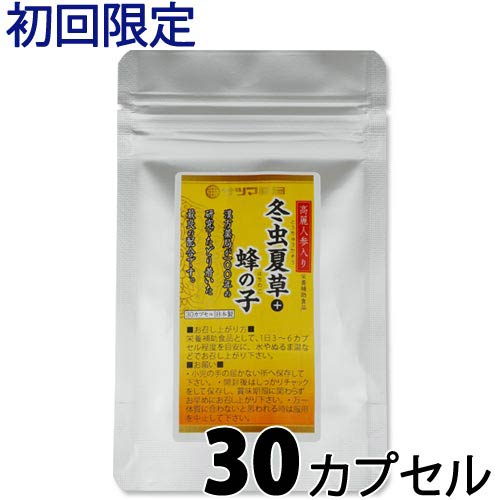楽天市場】紅豆杉 5g×30袋×5箱 | 雲南紅豆杉 うんなん こうとうすぎ