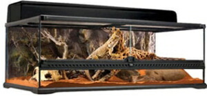 グラステラリウム 9030」の人気商品一覧 | 安い商品を通販サイトから