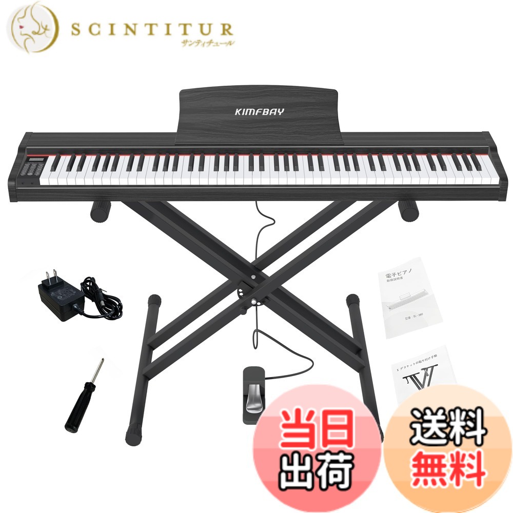 kimfbay」の人気商品一覧 | 安い商品を通販サイトから探す - 価格.com