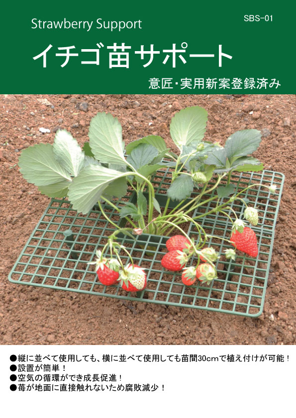 楽天市場】いちご支え（ストロベリーサポート）1個セット : 生活工貿