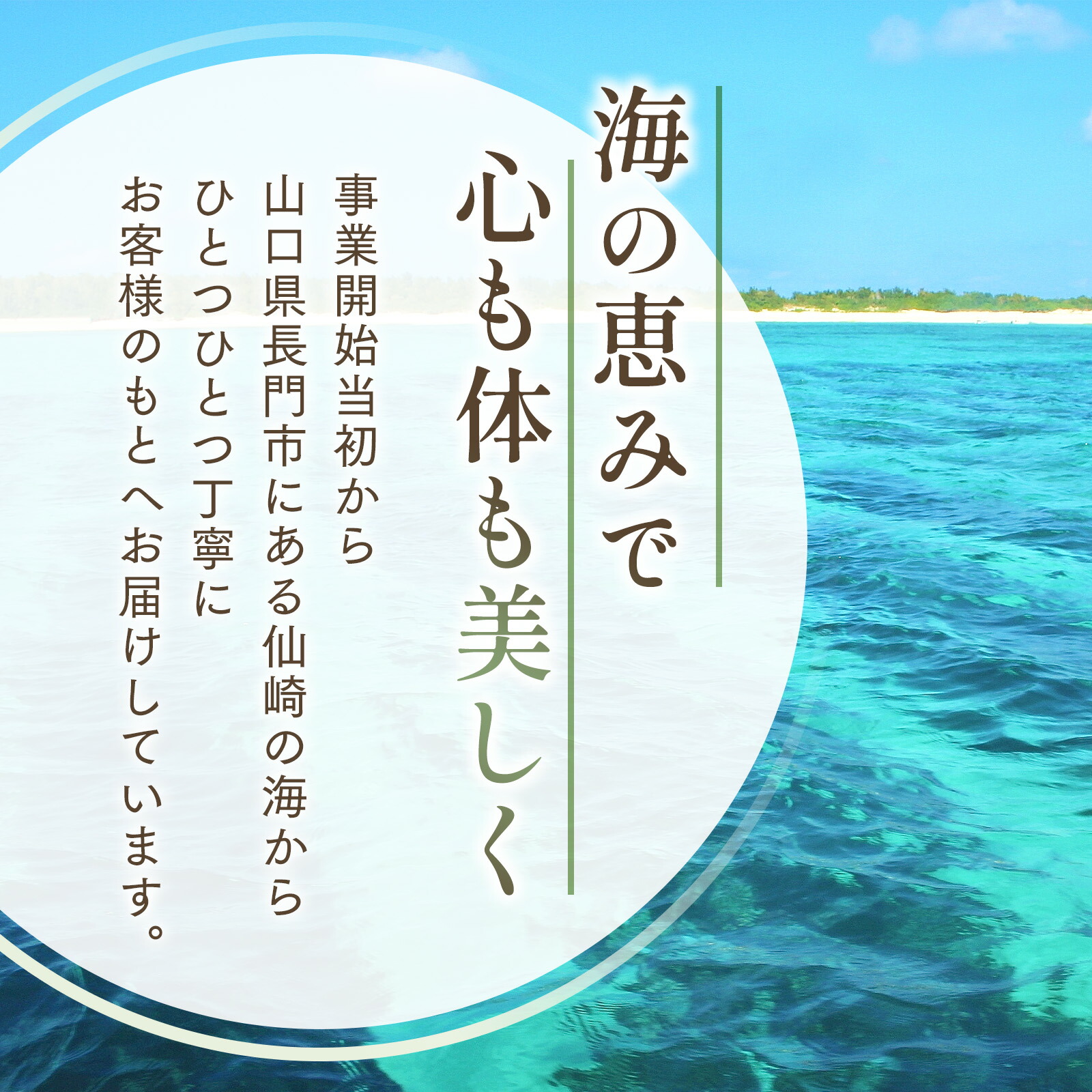 楽天市場】[2025年新物 沖縄県産生太もづく800g(40g×20P)] 洗わず
