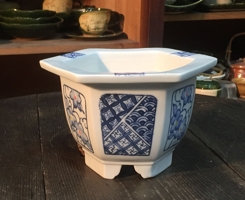 楽天市場】観音竹 ルネッサンス 専用鉢 瀬戸 染付 六角 手描窓 和風