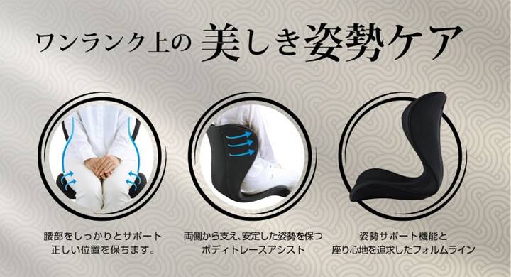 楽天市場】【新生活応援】スワンル ハイエンド 姿勢矯正 クッション