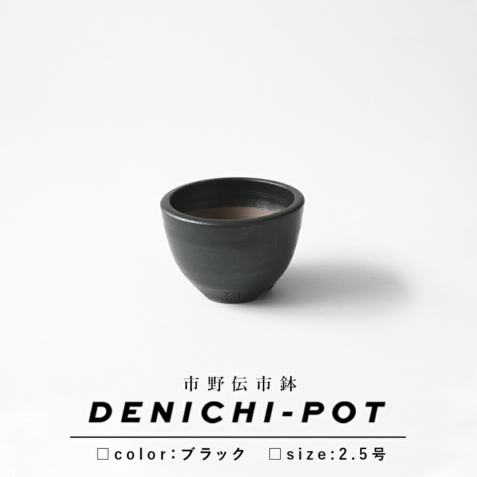 楽天市場】伝市鉢 コウロ型【ブラック】2.5号 φ8cm×H5.5cm 植木鉢 陶器