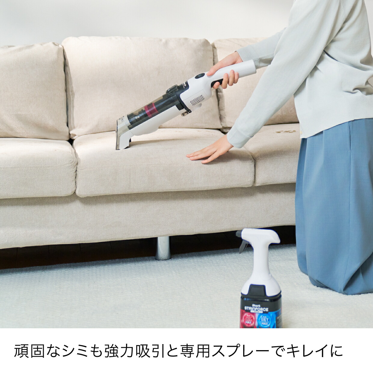 楽天市場】50％OFF【Shark 公式】 Shark シャーク StainForce
