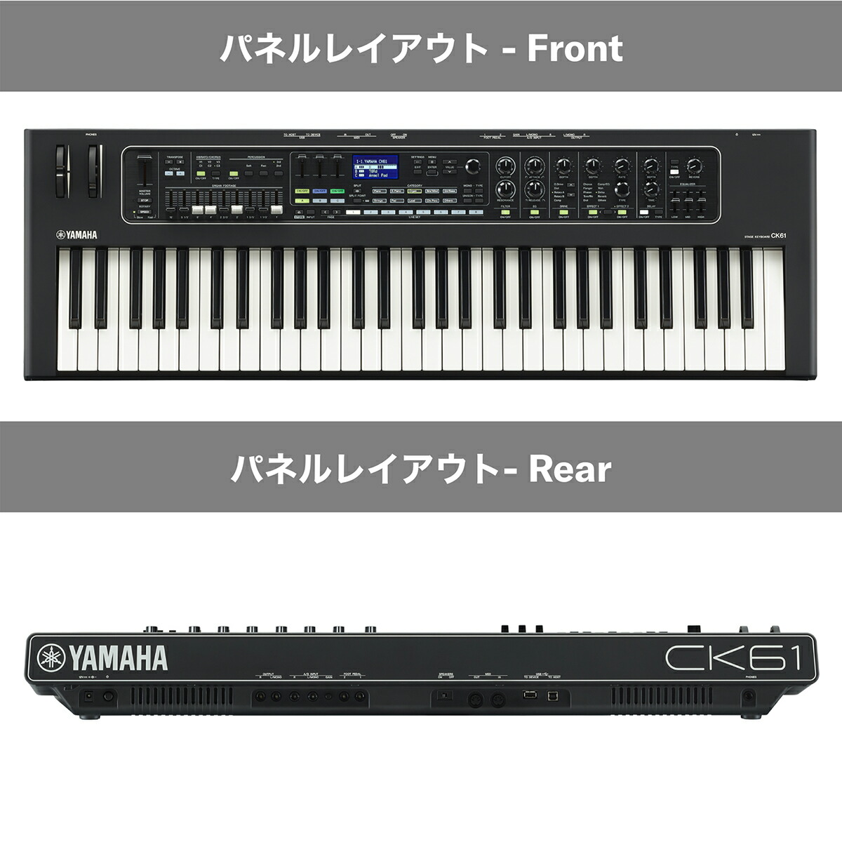 楽天市場】【学生さんにケースプレゼント】 YAMAHA CK61 61鍵盤