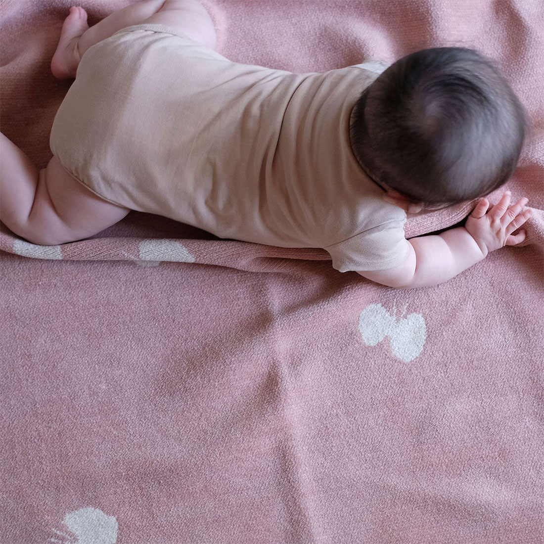 楽天市場】KLIPPAN クリッパン ミナペルホネン ブランケット mina