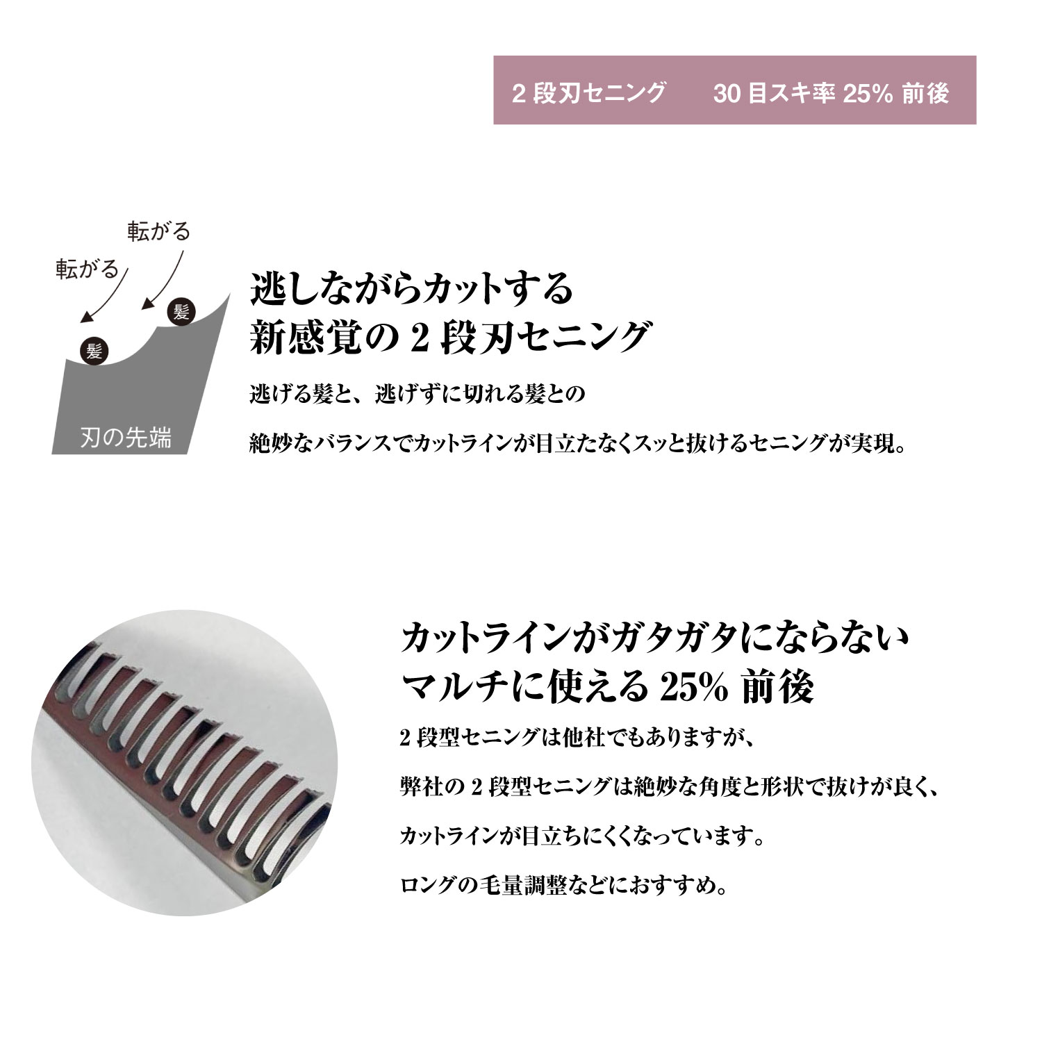 楽天市場】日本の鋏専門メーカー 理美容師専用 GTZ630CT 2段セニング