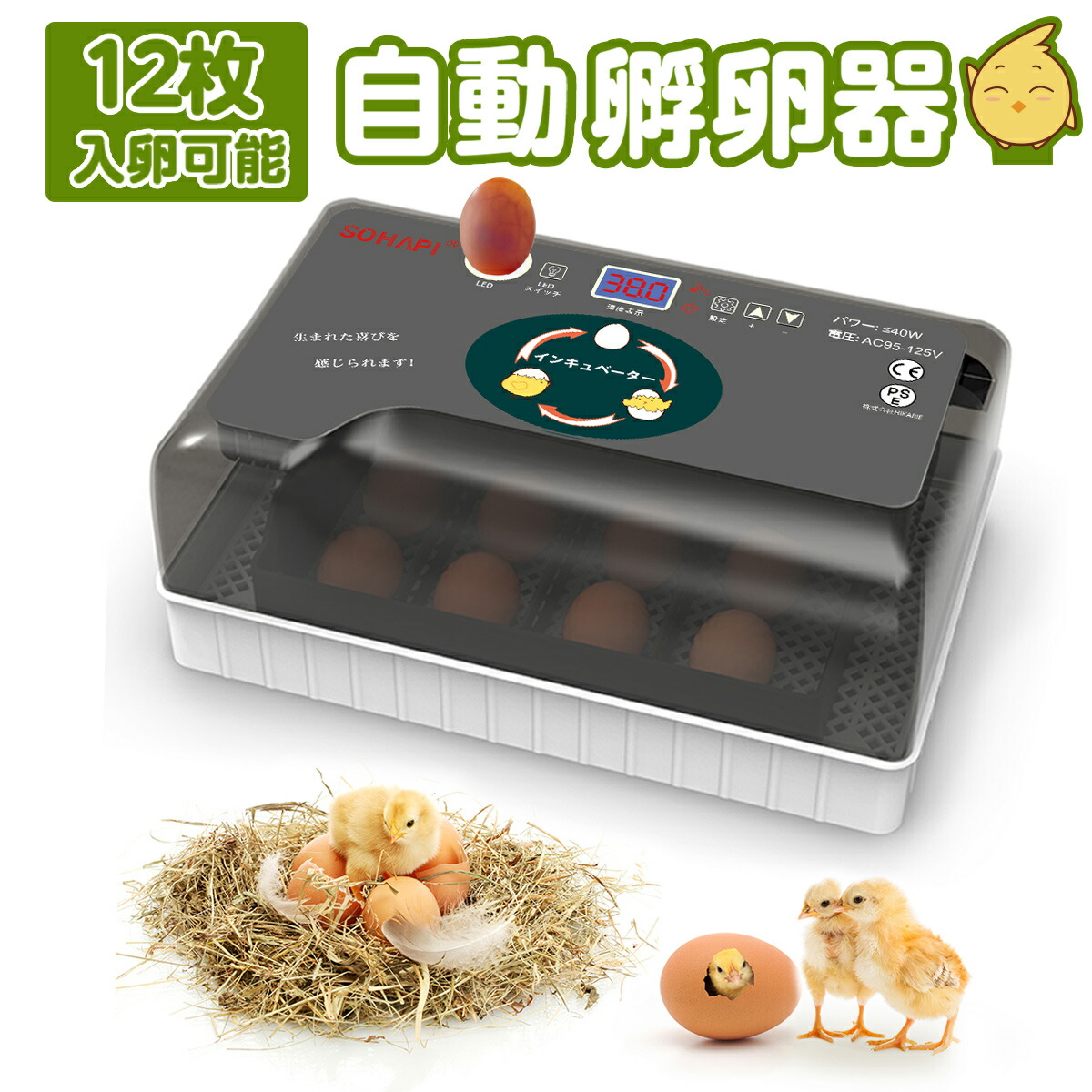 楽天市場】自動孵卵器 大容量 12枚入卵 恒温孵化器 日本語説明書付き