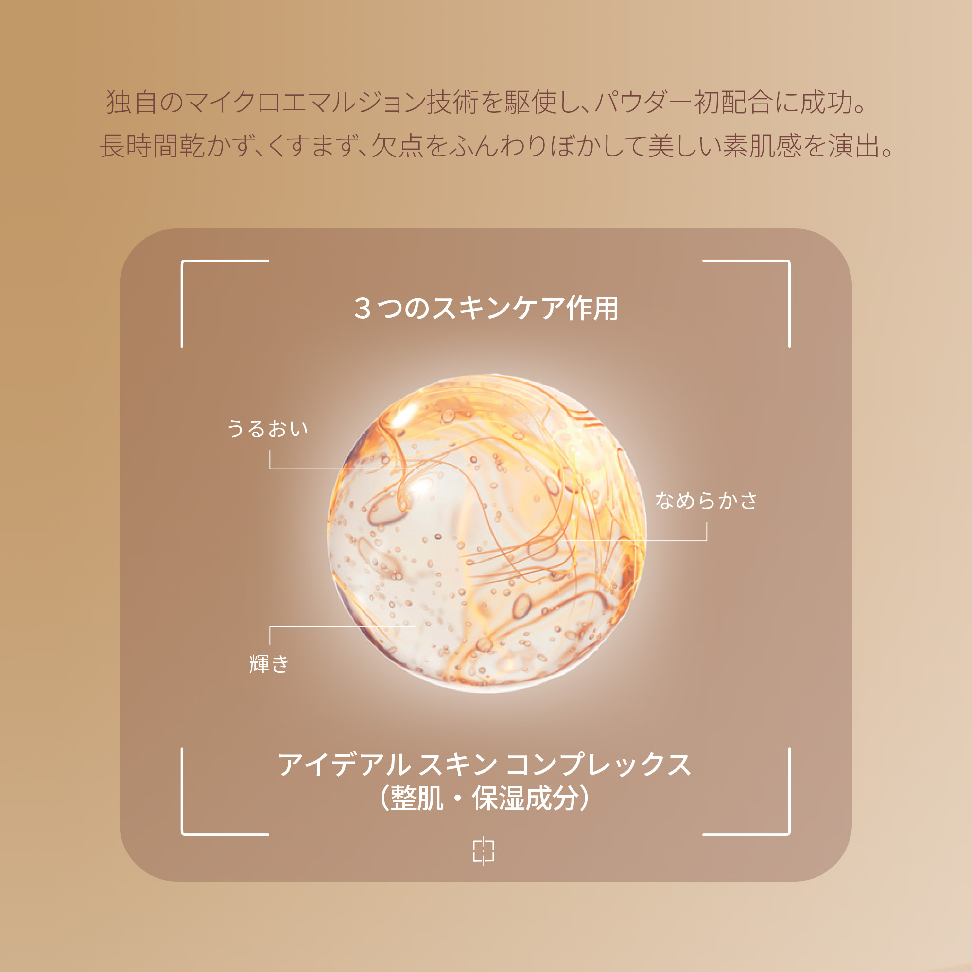 楽天市場】【公式】 シスレー フィト タン パウダー リーブル 12g