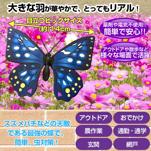 楽天市場】オオムラサキちゃん 90124 /【普通郵便送料無料