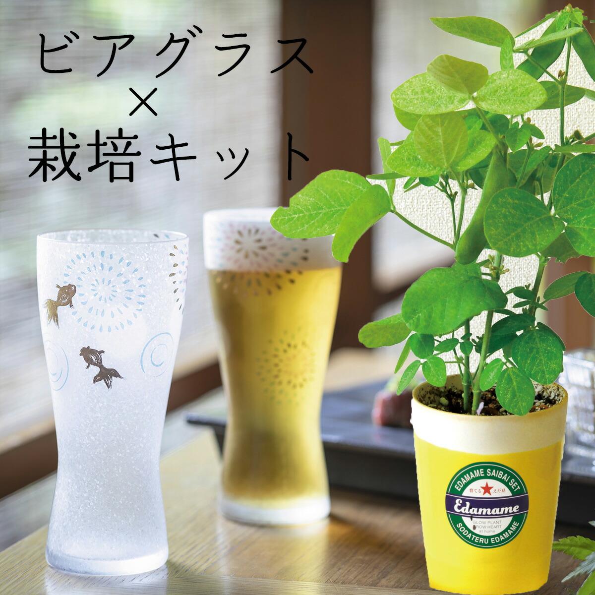 楽天市場】父の日ギフト 2026 「枝豆栽培セット＆ビアグラス