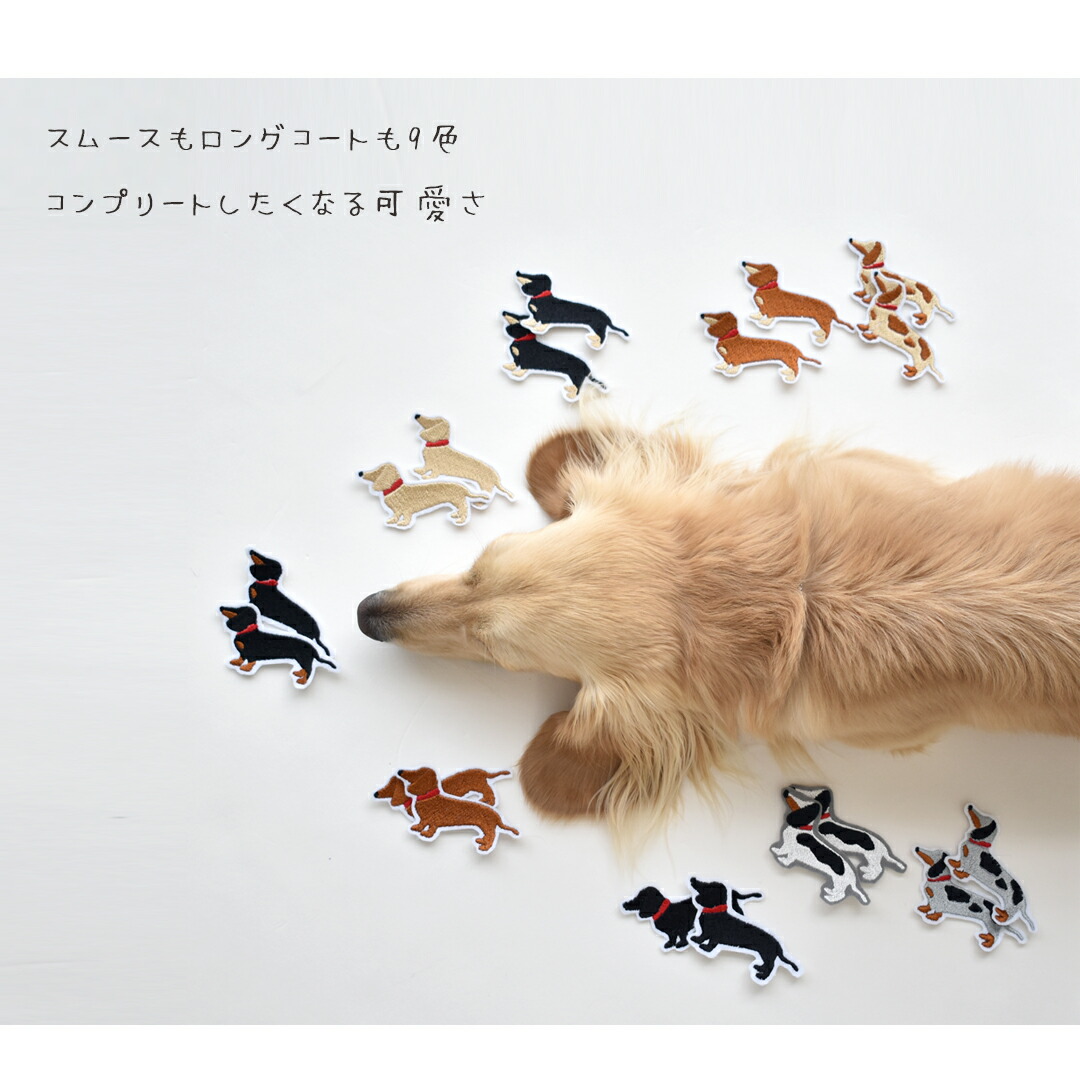 楽天市場】ダックスフント 刺繍 うちの子刺繍 ワッペン アップリケ