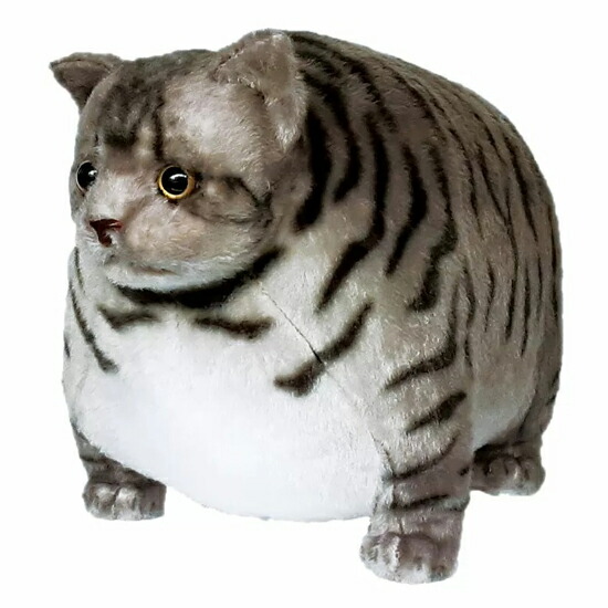 楽天市場】ふとっちぃZoo にゃんこ サバトラ 猫のぬいぐるみ 丸い猫