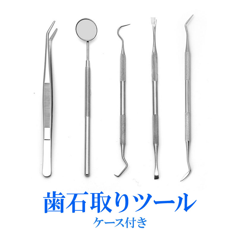 楽天市場】歯石取り 5本セット ケース付き スケーラー 歯垢 食べかす