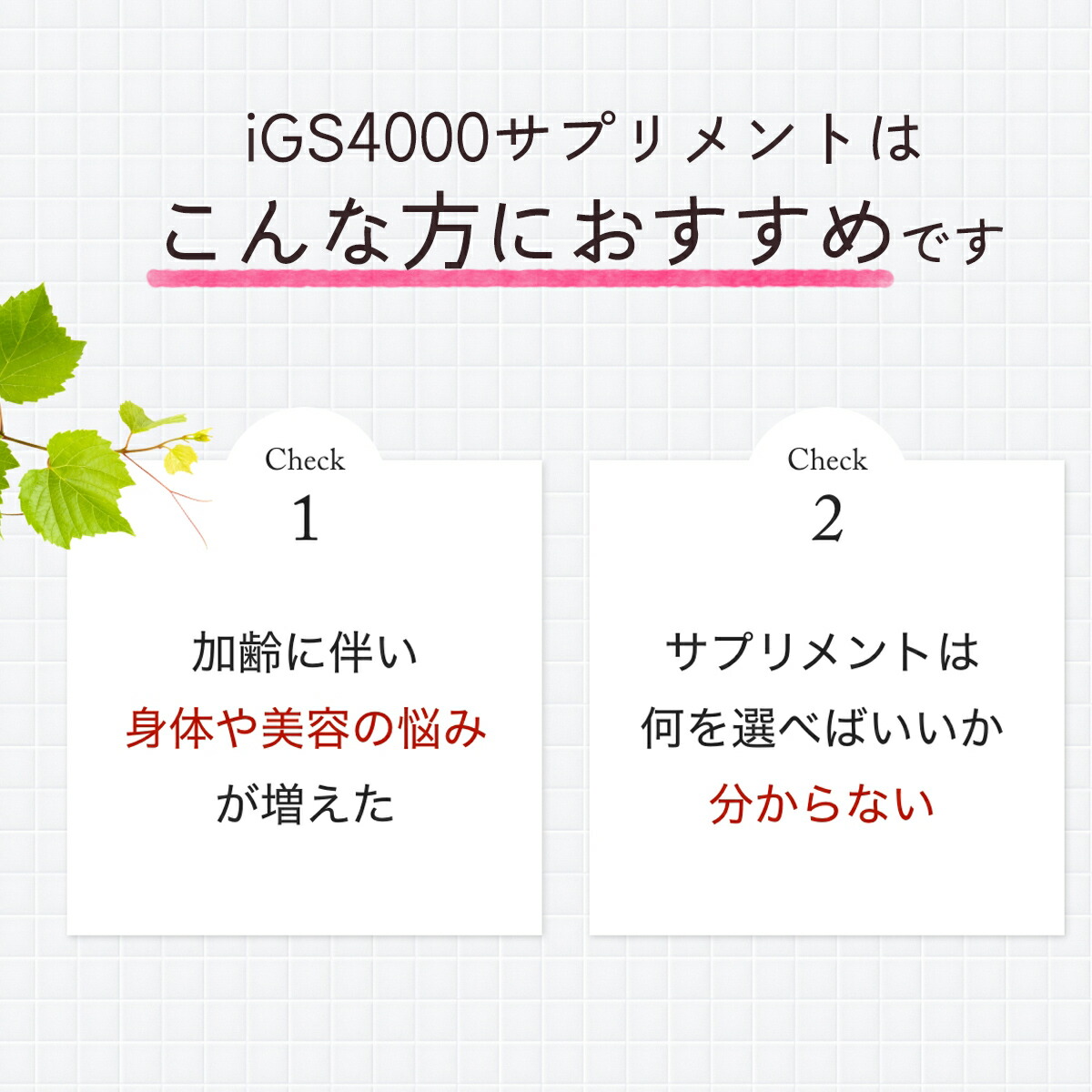 楽天市場】【マラソン限定クーポン】【メーカー正規販売店】瞬芽ブドウ