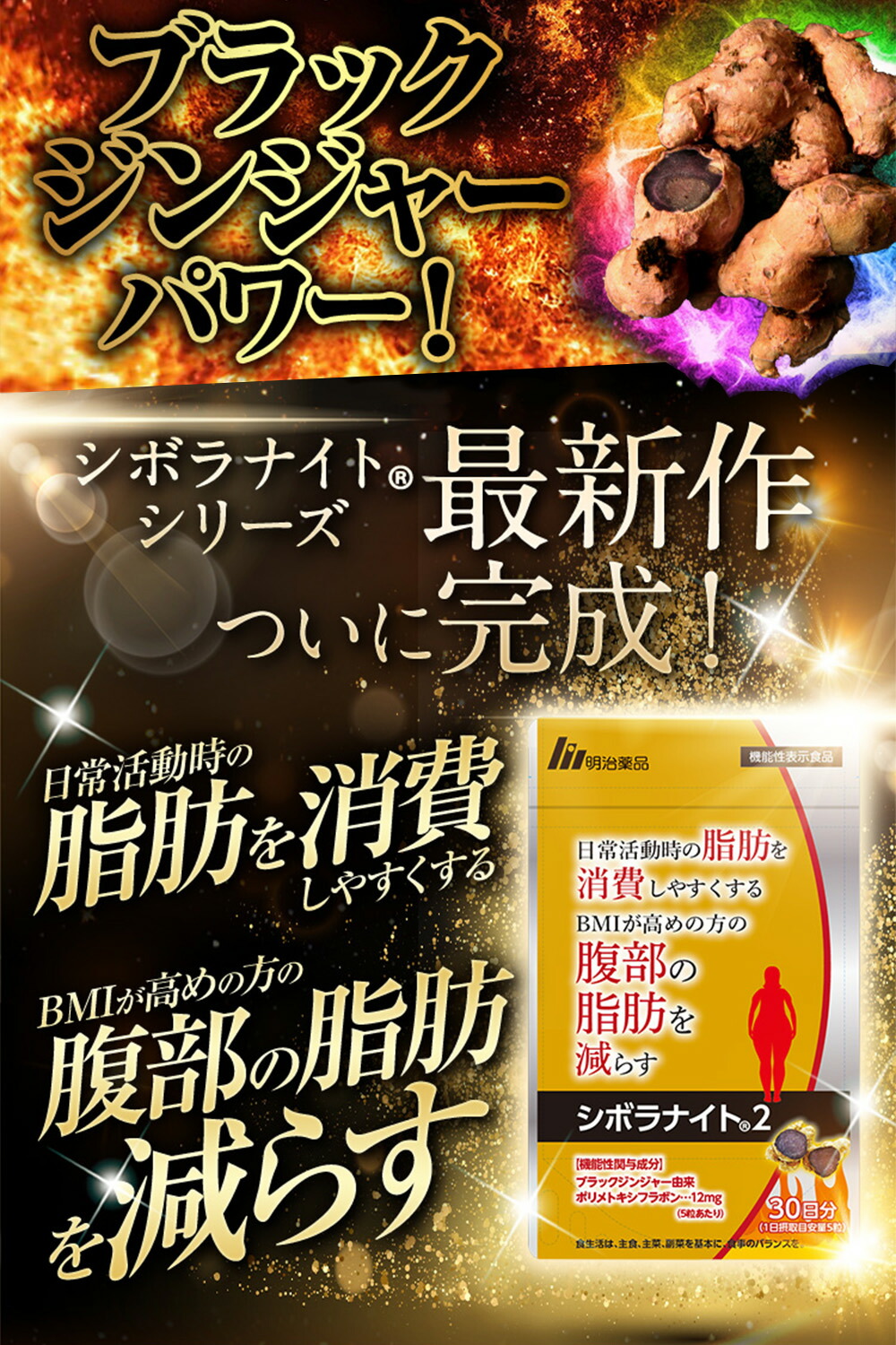 シボラナイト2 3袋セット 【公式通販】