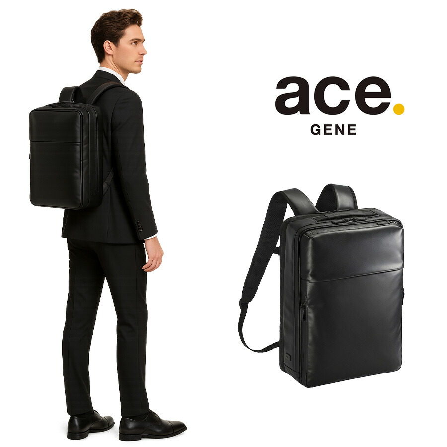 楽天市場】ace.GENE ガジェタブルWR2 リュック 19L ビジネス リュック