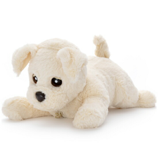 楽天市場】ココチモ ダッキーの通販