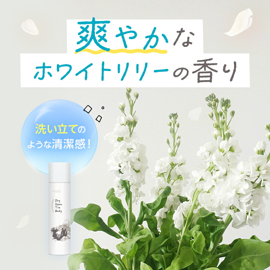 yurutto ドライシャントリボディ10本セット TELESA yurutto ドライ