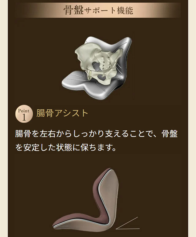 楽天市場】【メーカー正規販売店】 スタイルプレミアム デラックス