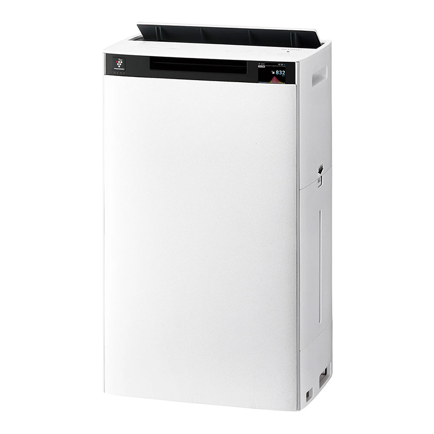 楽天市場】2/19 20:00〜 当店限定P5倍 × 楽天マラソン ◇【購入者全員