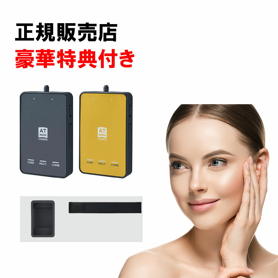 楽天市場】at mini2 充電器の通販